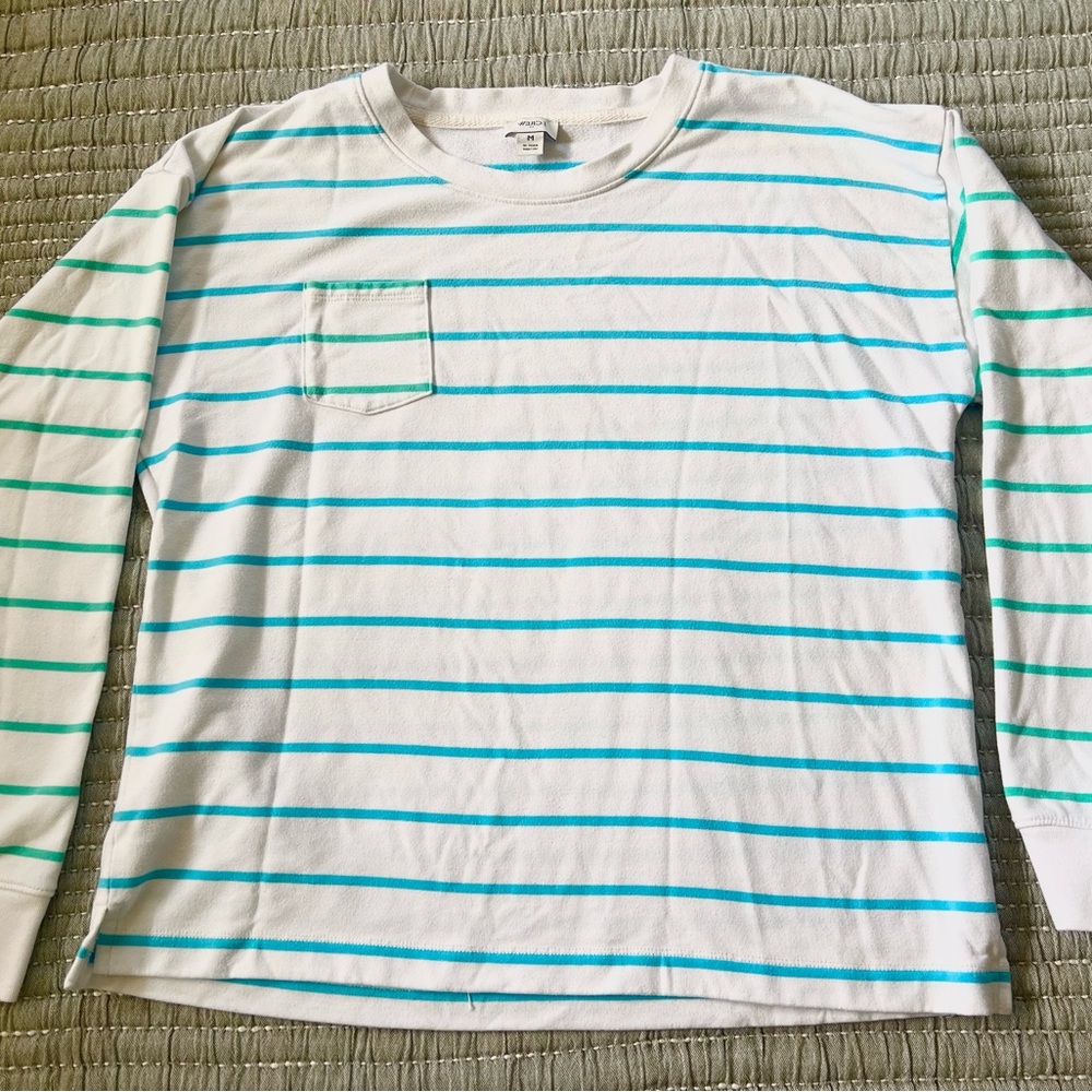 J. Crew Factory White and Blue Striped Crew Neck Cotton Sweatshirt